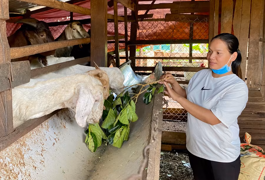 Chương trình MTQG phát triển kinh tế-xã hội vùng đồng bào DTTS và miền núi giúp đồng bào DTTS có cơ hội phát triển kinh tế, ổn định đời sống. Ảnh: Hà Duy