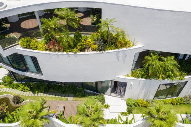 Những góc cong mềm mại kết hợp với các vườn cây xanh tạo nên vẻ độc đáo cho ngôi nhà. Những góc cong mềm mại kết hợp với các vườn cây xanh tạo nên vẻ độc đáo cho ngôi nhà.