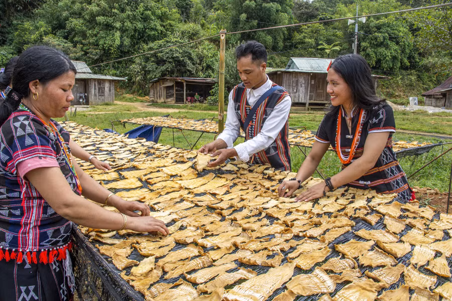 Những ngày mưu sinh giúp gia đình của Alăng Thị Nhiết. Ảnh: Văn Chương