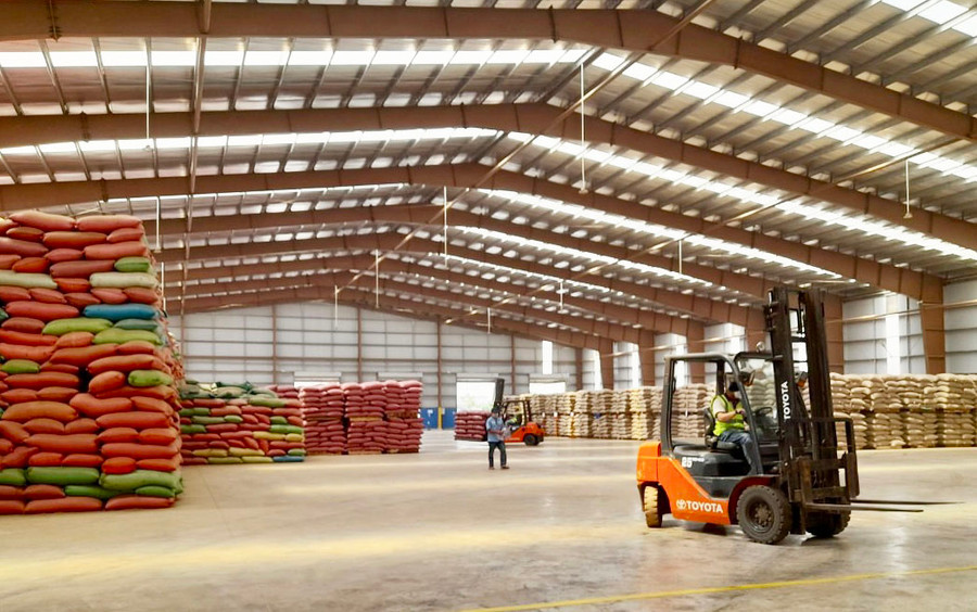 Cà phê là mặt hàng nông sản chiếm gần 71% tổng kim ngạch xuất khẩu của tỉnh trong năm 2022 với giá trị đạt 490 triệu USD. Ảnh: V.T Cà phê là mặt hàng nông sản chiếm gần 71% tổng kim ngạch xuất khẩu của tỉnh trong năm 2022 với giá trị đạt 490 triệu USD. Ảnh: V.T