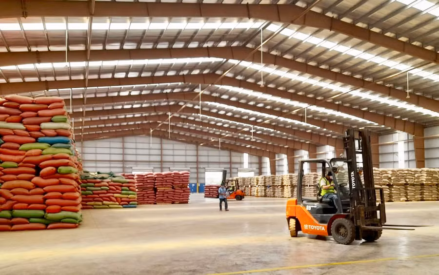 Cà phê là mặt hàng nông sản chiếm gần 71% tổng kim ngạch xuất khẩu của tỉnh trong năm 2022 với giá trị đạt 490 triệu USD. Ảnh: V.T