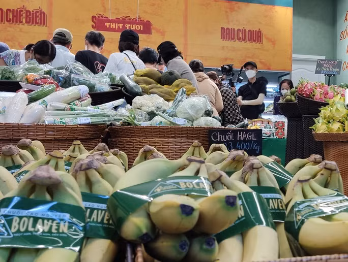 Chuối HAGL mang thương hiệu Bolaven có giá khá cao trong nhóm chuối giống Nam Mỹ trồng tại Việt Nam.