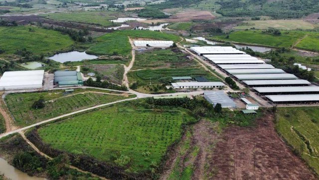 Khu trang trại dự án chăn nuôi của Công ty Sao Đỏ. Ảnh: Hoàng Bình