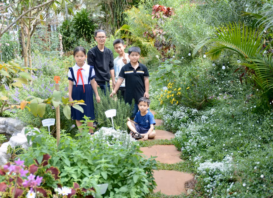 Anh Hồ Thanh Thuận dự kiến sẽ tổ chức thêm nhiều buổi workshop để giúp các em thiếu nhi hiểu hơn về các loài thảo mộc. Ảnh: Nguyễn Thị Diễm