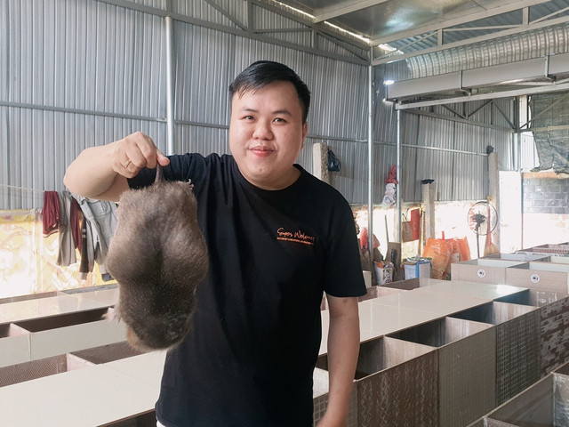 Trại dúi của Lê Thành Trung cho thu nhập cao, ổn định. Ảnh: Trần Hiếu Trại dúi của Lê Thành Trung cho thu nhập cao, ổn định. Ảnh: Trần Hiếu