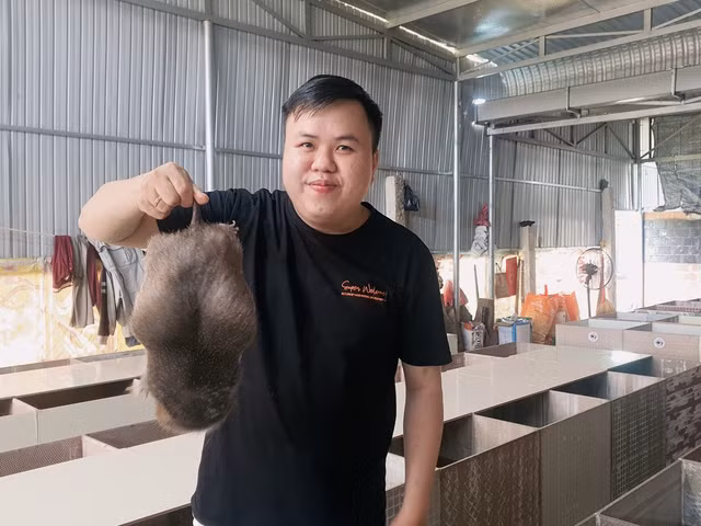 Trại dúi của Lê Thành Trung cho thu nhập cao, ổn định. Ảnh: Trần Hiếu