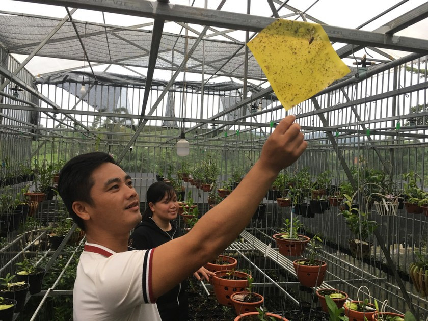 Để chăm sóc cho những nhánh lan rừng của mình, anh Quyết lắp đặt nhà giàn, hệ thống phun tưới nước và những vỉ bắt côn trùng...