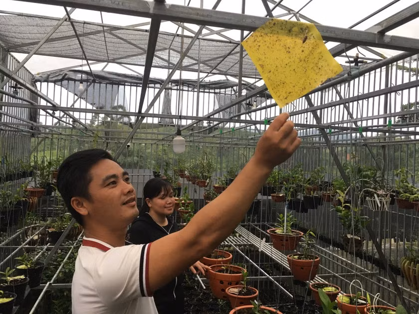 Để chăm sóc cho những nhánh lan rừng của mình, anh Quyết lắp đặt nhà giàn, hệ thống phun tưới nước và những vỉ bắt côn trùng...