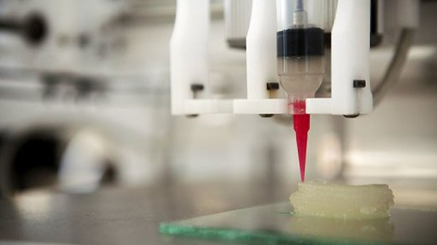 Ảnh: TTXVN Ảnh: TTXVN