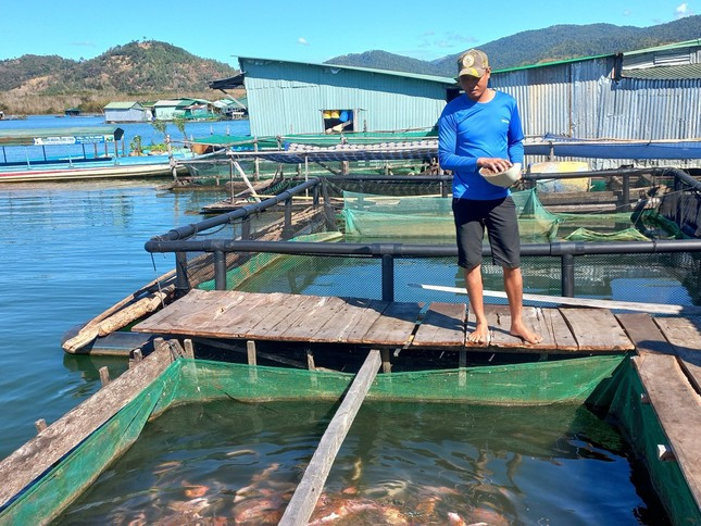 Người dân chài của người dân miền Tây Nam bộ trên hồ Sê San4 nuôi cá lồng Người dân chài của người dân miền Tây Nam bộ trên hồ Sê San4 nuôi cá lồng