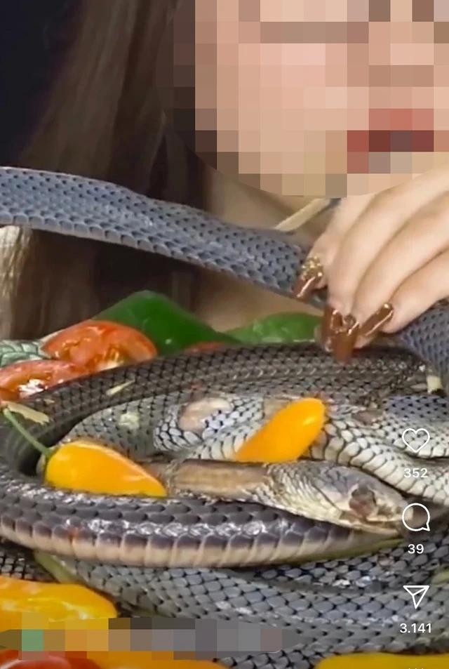 Một mukbanger ăn nguyên con rắn