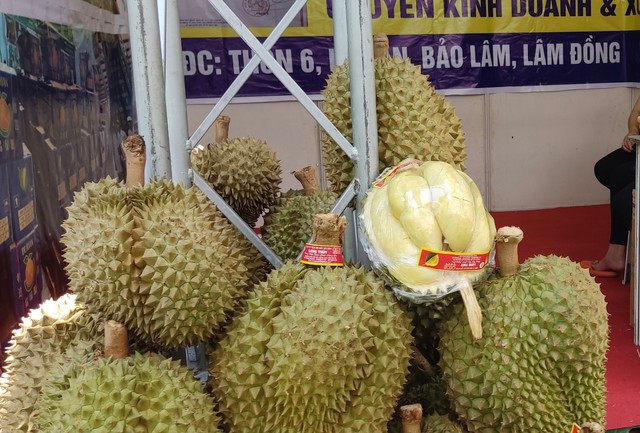 Sầu riêng Monthong tăng giá hơn 20.000 đồng/kg so với nửa tháng trước Sầu riêng Monthong tăng giá hơn 20.000 đồng/kg so với nửa tháng trước