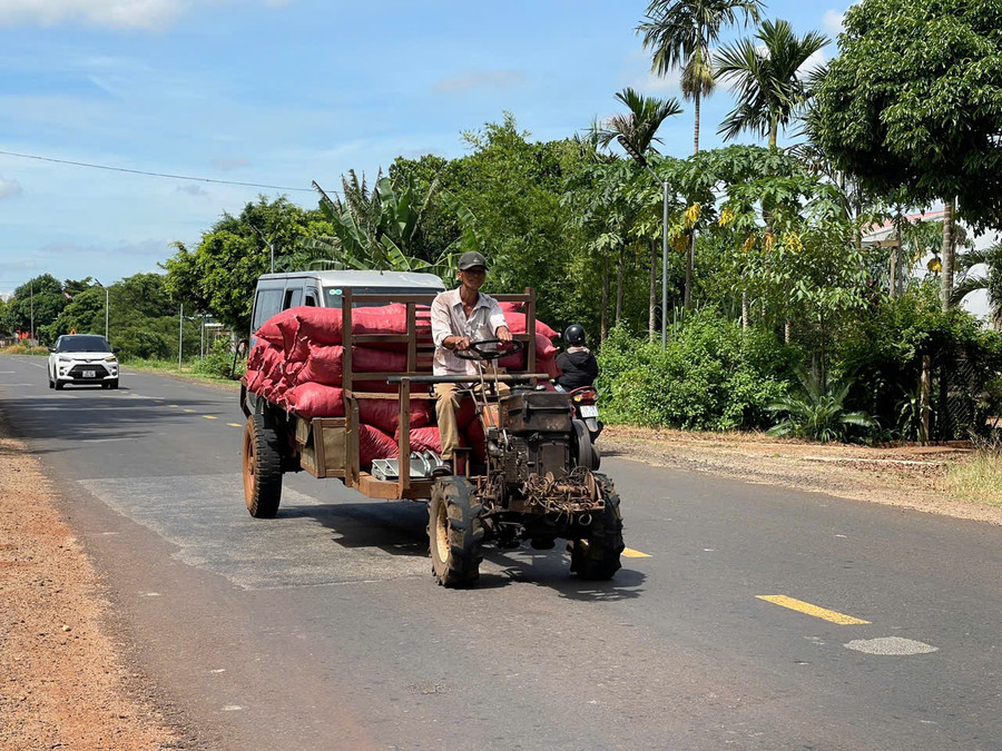 Do chưa có phương tiện thay thế nên xe công nông vẫn là sự lựa chọn của người dân trong sản xuất nông nghiệp. Ảnh: M.P