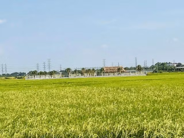 Luật Đất đai 2024 quy định nhiều trường hợp nhà, đất không được cấp sổ hồng