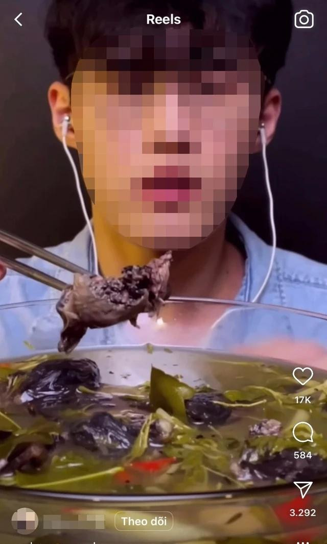 Ếch òn bị dân mukbang khắp thế giới săn tìm để ăn và phát sóng