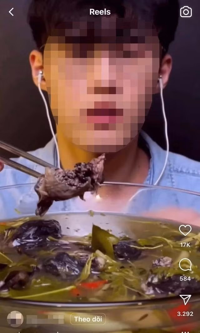 Ếch òn bị dân mukbang khắp thế giới săn tìm để ăn và phát sóng