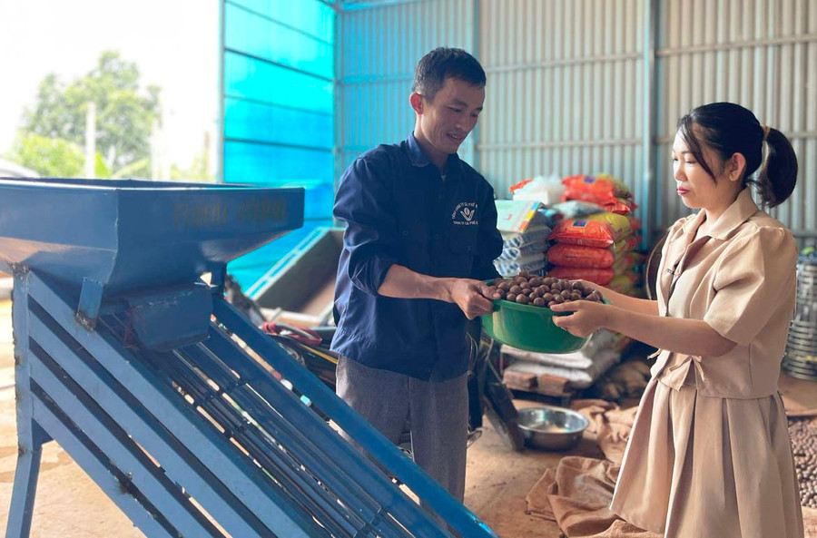 Vợ chồng chị Nhung đầu tư thêm máy móc, thiết bị để nâng cao năng lực chế biến sản phẩm mắc ca. Ảnh: M.P Vợ chồng chị Nhung đầu tư thêm máy móc, thiết bị để nâng cao năng lực chế biến sản phẩm mắc ca. Ảnh: M.P