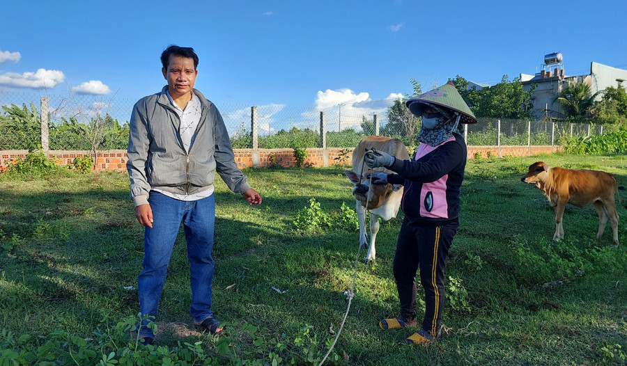 Ông Đinh Vốt-Nhóm trưởng thường xuyên hỗ trợ nhóm nuôi bò làng Pơbahktu ( xã An Trung). Ảnh: N.D Ông Đinh Vốt-Nhóm trưởng thường xuyên hỗ trợ nhóm nuôi bò làng Pơbahktu ( xã An Trung). Ảnh: N.D