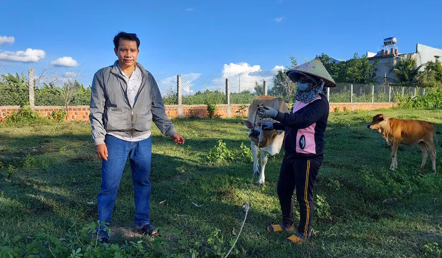 Ông Đinh Vốt-Nhóm trưởng thường xuyên hỗ trợ nhóm nuôi bò làng Pơbahktu ( xã An Trung). Ảnh: N.D