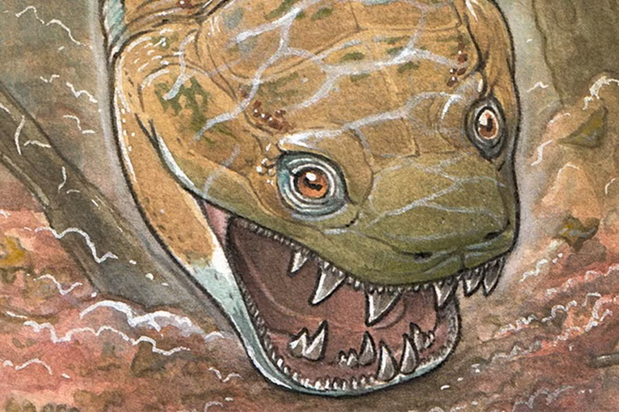 Hình ảnh phục dựng minh họa loài Gaiasia jennyae. (Nguồn: Science Alert)