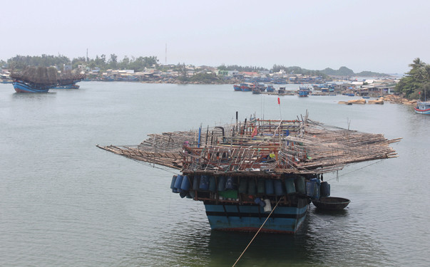 Vùng cửa biển Sa Cần, huyện Bình Sơn, tỉnh Quảng Ngãi Vùng cửa biển Sa Cần, huyện Bình Sơn, tỉnh Quảng Ngãi