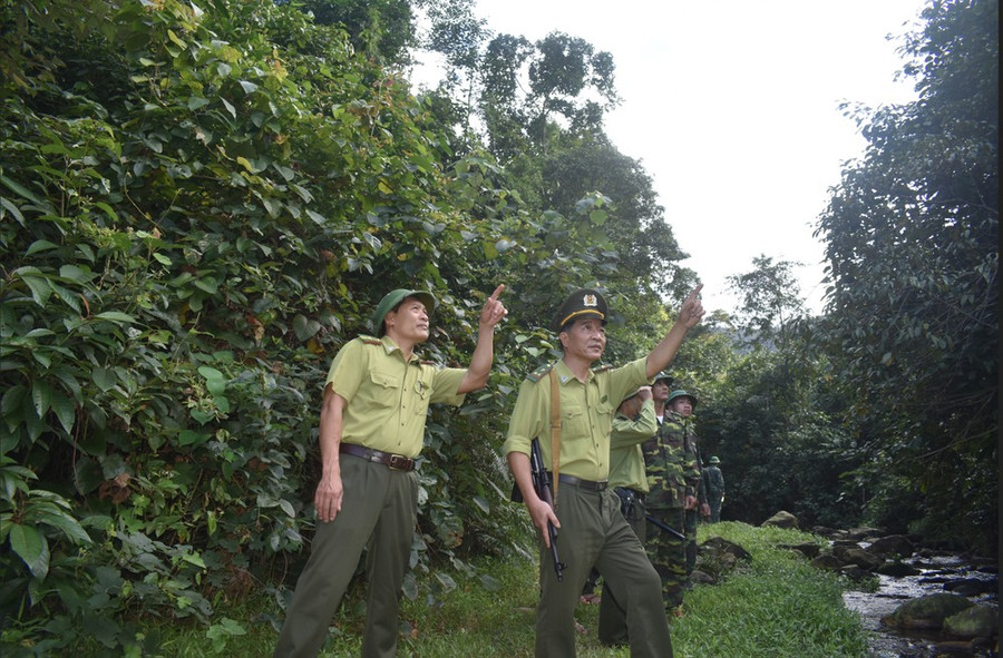 Kiểm lâm Quảng Bình cùng các lực lượng chức năng tuần tra giữ rừng. Quảng Bình bán tín chỉ carbon năm 2023 được hơn 82 tỷ đồng. Ảnh: MINH PHONG