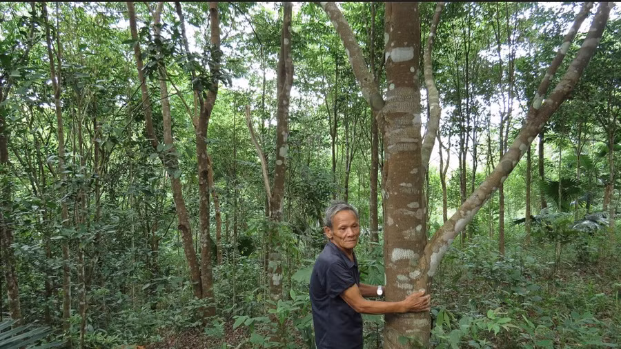 Người dân xã Thượng Trạch, Bố Trạch, Quảng Bình nhận tin vui khi bán tín chỉ carbon được hơn 2,7 tỷ đồng. Ảnh: MINH PHONG