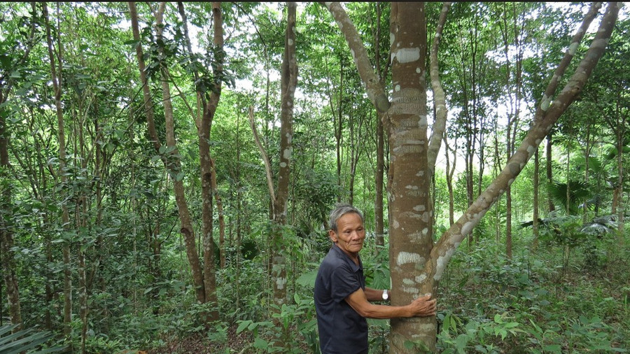 Người dân xã Thượng Trạch, Bố Trạch, Quảng Bình nhận tin vui khi bán tín chỉ carbon được hơn 2,7 tỷ đồng. Ảnh: MINH PHONG