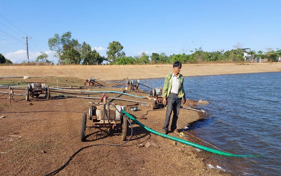 Người dân bơm nước từ hồ chứa làng Ku Tong (xã Ia Pếch) để tưới cà phê. Ảnh: N.D Người dân bơm nước từ hồ chứa làng Ku Tong (xã Ia Pếch) để tưới cà phê. Ảnh: N.D