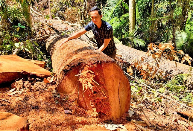 Phóng viên Tiền Phong trong lần tác nghiệp