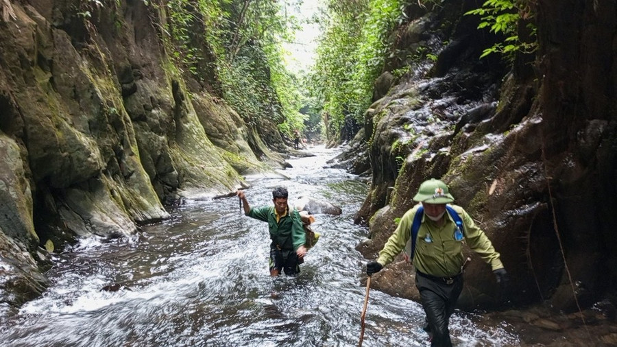 Gỡ bẫy ở vườn quốc gia Pù Mát, Nghệ An. Ảnh: DUY CƯỜNG