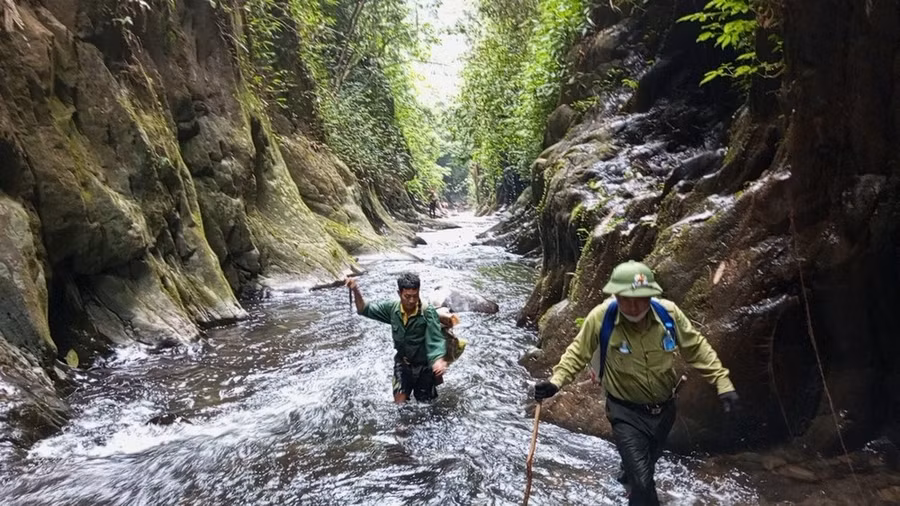 Gỡ bẫy ở vườn quốc gia Pù Mát, Nghệ An. Ảnh: DUY CƯỜNG