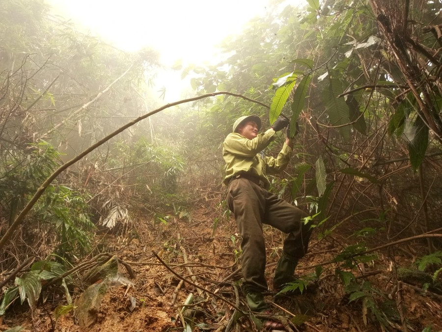 Lực lượng kiểm lâm tuần rừng Pù Mát, Nghệ An. Ảnh: DUY CƯỜNG