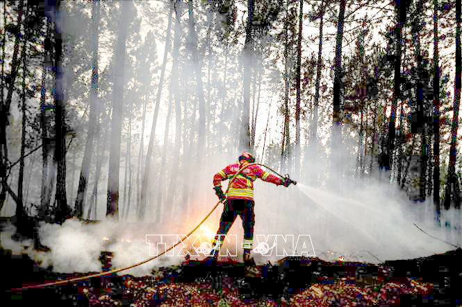 Nhân viên cứu hỏa nỗ lực khống chế đám cháy rừng ở Castelo Branco, Bồ Đào Nha (ảnh tư liệu nguồn: TTXVN). Nhân viên cứu hỏa nỗ lực khống chế đám cháy rừng ở Castelo Branco, Bồ Đào Nha (ảnh tư liệu nguồn: TTXVN).