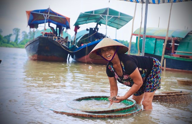 Bà Nguyễn Thị Thi, người theo nghề đãi hến 50 năm qua