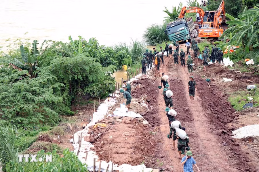 Lực lượng quân đội và các ngành chức năng gia cố đê Sông Cầu đoạn qua phường Trưng Vương để ngăn nước tràn vào khu dân cư. (Ảnh: Trần Trang/TTXVN)