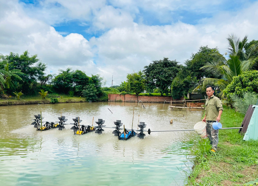 Ông Phạm Quang Thắng (thôn Tân Điệp 1, xã Ia Ake) sử dụng hệ thống quạt gió để tăng lượng khí oxy giúp cá phát triển khỏe mạnh. Ảnh: H.T