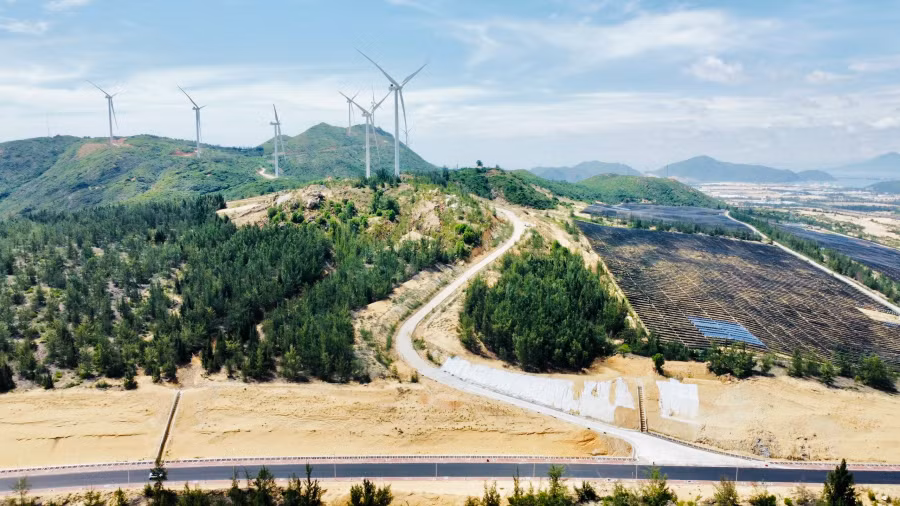 Tuyến đường này không chỉ giúp người dân Nhơn Lý đi lại thuận lợi hơn mà còn đóng góp quan trọng vào sự phát triển của Khu Kinh tế Nhơn Hội, thu hút các dự án đầu tư mới tại phân khu số 3 và xã Nhơn Lý