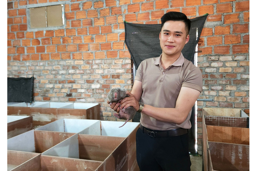 Nhờ nuôi dúi thành công, mỗi năm, anh Nguyễn Văn Cường-Phó Bí thư Đoàn xã Dun thu về hơn 120 triệu đồng. Ảnh: P.N Nhờ nuôi dúi thành công, mỗi năm, anh Nguyễn Văn Cường-Phó Bí thư Đoàn xã Dun thu về hơn 120 triệu đồng. Ảnh: P.N