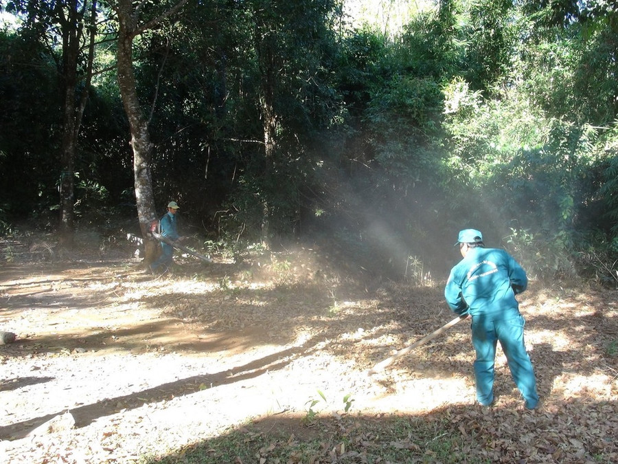 Lực lượng bảo vệ rừng Vườn quốc gia Bù Gia Mập dọn đường băng cản lửa đề phòng cháy rừng. (Ảnh: K GỬIH -TTXVN)