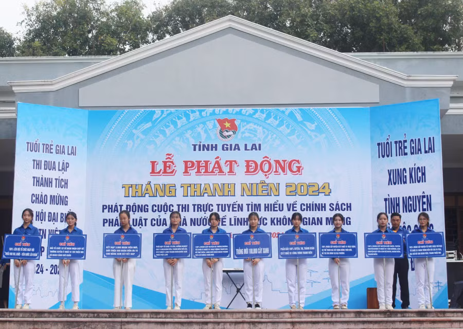 Tỉnh Đoàn đề ra 10 chỉ tiêu trọng tâm trong Tháng Thanh niên năm 2024. Ảnh: P.L