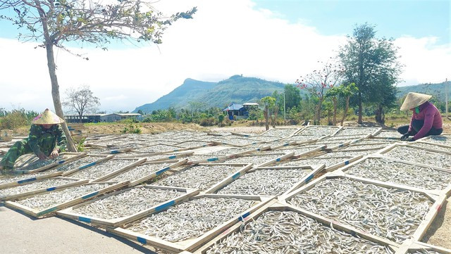 Người dân Gio Việt đưa cá duội lên Lao Bảo phơi nắng Người dân Gio Việt đưa cá duội lên Lao Bảo phơi nắng