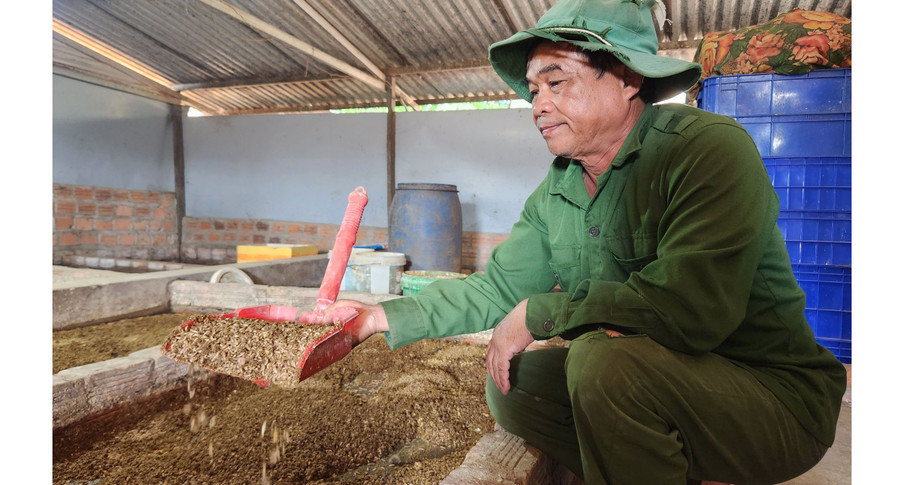Nuôi sâu canxi đã giúp gia đình ông Lê Hùng Anh (xã Nghĩa Hưng, huyện Chư Păh) vươn lên làm giàu. Ảnh: P.N