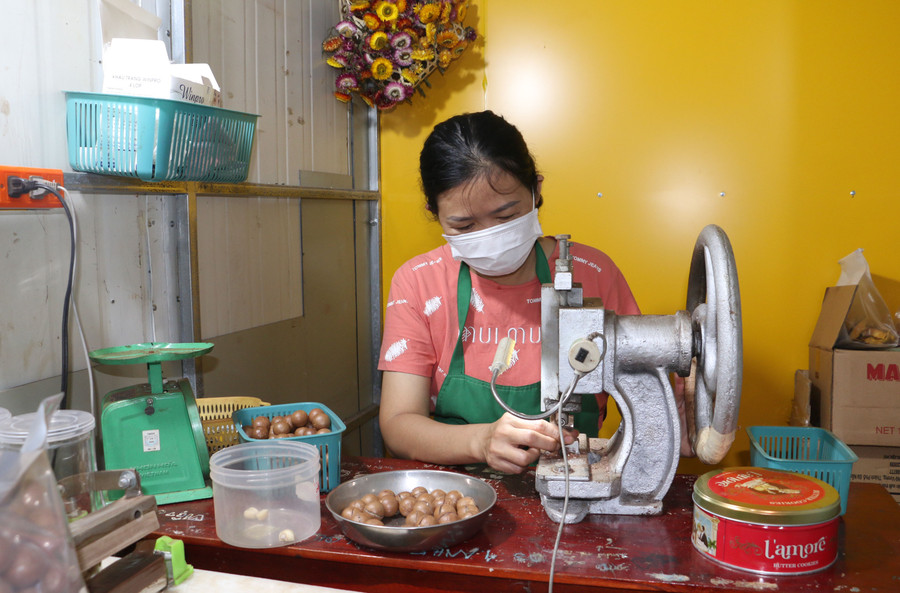 Cơ sở của chị Vy tạo việc làm ổn định cho lao động nông thôn với thu nhập cao. Ảnh N.S Cơ sở của chị Vy tạo việc làm ổn định cho lao động nông thôn với thu nhập cao. Ảnh N.S