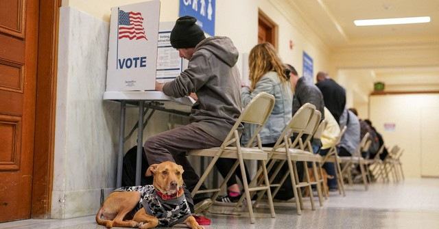 Một chú chó đợi chủ bỏ phiếu tại Tòa thị chính San Francisco trong ngày bầu cử sơ bộ "siêu thứ ba" ở TP San Francisco, bang California. Ảnh: Reuters Một chú chó đợi chủ bỏ phiếu tại Tòa thị chính San Francisco trong ngày bầu cử sơ bộ "siêu thứ ba" ở TP San Francisco, bang California. Ảnh: Reuters