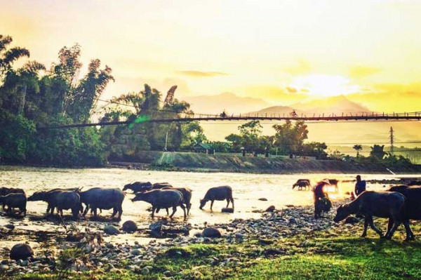 Dòng Nậm Thia. Dòng Nậm Thia.