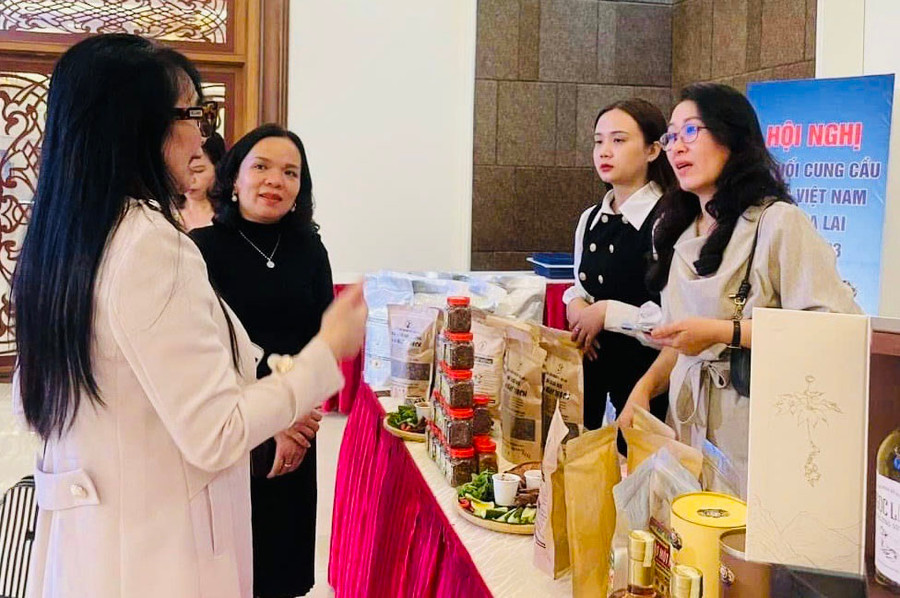 Măng le rừng là một trong 4 sản phẩm của hộ kinh doanh Ngọc Thạch (xã Ia Rsươm, huyện Krông Pa) kỳ vọng vươn ra thị trường sau khi được nâng cấp lên OCOP 3 sao cấp huyện. Ảnh: Mai Ka Măng le rừng là một trong 4 sản phẩm của hộ kinh doanh Ngọc Thạch (xã Ia Rsươm, huyện Krông Pa) kỳ vọng vươn ra thị trường sau khi được nâng cấp lên OCOP 3 sao cấp huyện. Ảnh: Mai Ka