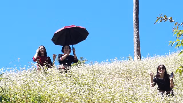 Du khách thích thú với vườn hoa tam giác mạch ở xã Đăk Pxi