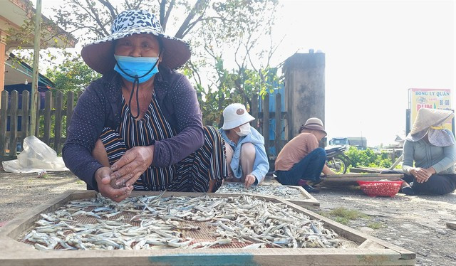 Nghề hấp sấy cá ở Gio Việt giải quyết công ăn việc làm cho nhiều phụ nữ địa phương Nghề hấp sấy cá ở Gio Việt giải quyết công ăn việc làm cho nhiều phụ nữ địa phương