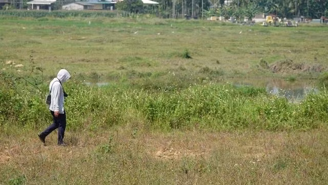 Ruộng, đất của người dân xã Nghĩa Trung (H.Tư Nghĩa, Quảng Ngãi) nằm trong khuôn viên dự án Khu đô thị Bàu Giang